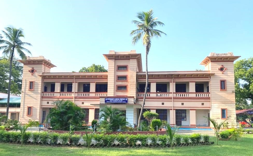 Department of Veterinary Medicine – Bihar Animal Sciences University |  बिहार पशु विज्ञान विश्वविद्यालय