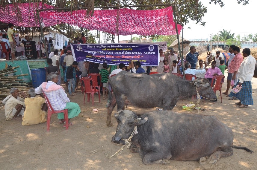 Extension Activities – Bihar Animal Sciences University | बिहार पशु विज्ञान  विश्वविद्यालय