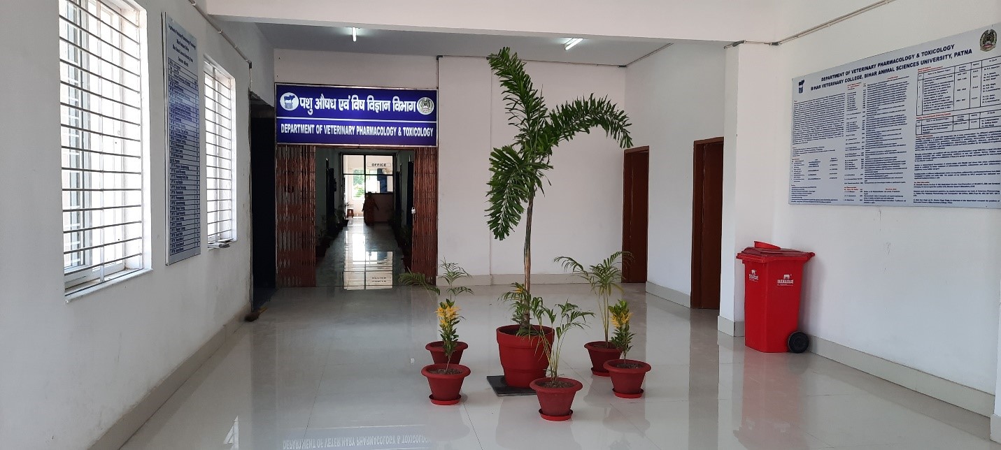Department of Veterinary Pharmacology and Toxicology – Bihar Animal  Sciences University | बिहार पशु विज्ञान विश्वविद्यालय