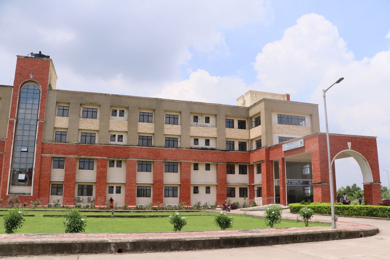 College of Veterinary and Animal Sciences