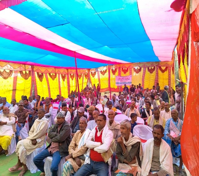 Activity 4