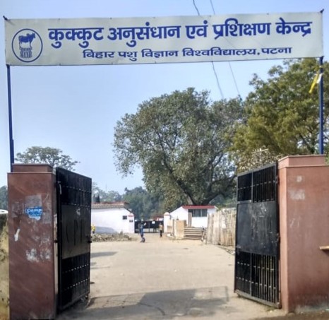 Poultry Research and Training Centre