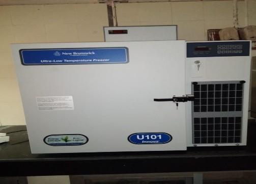 -80 Degree Celsius Upright Ultra Low Deep Freezer