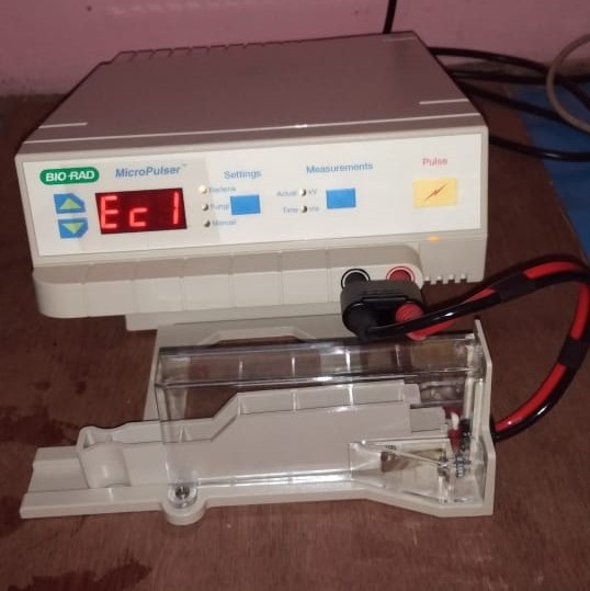 Electroporator
