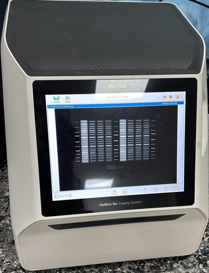 Gel Documentation System