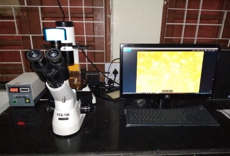 Inverted Microscope