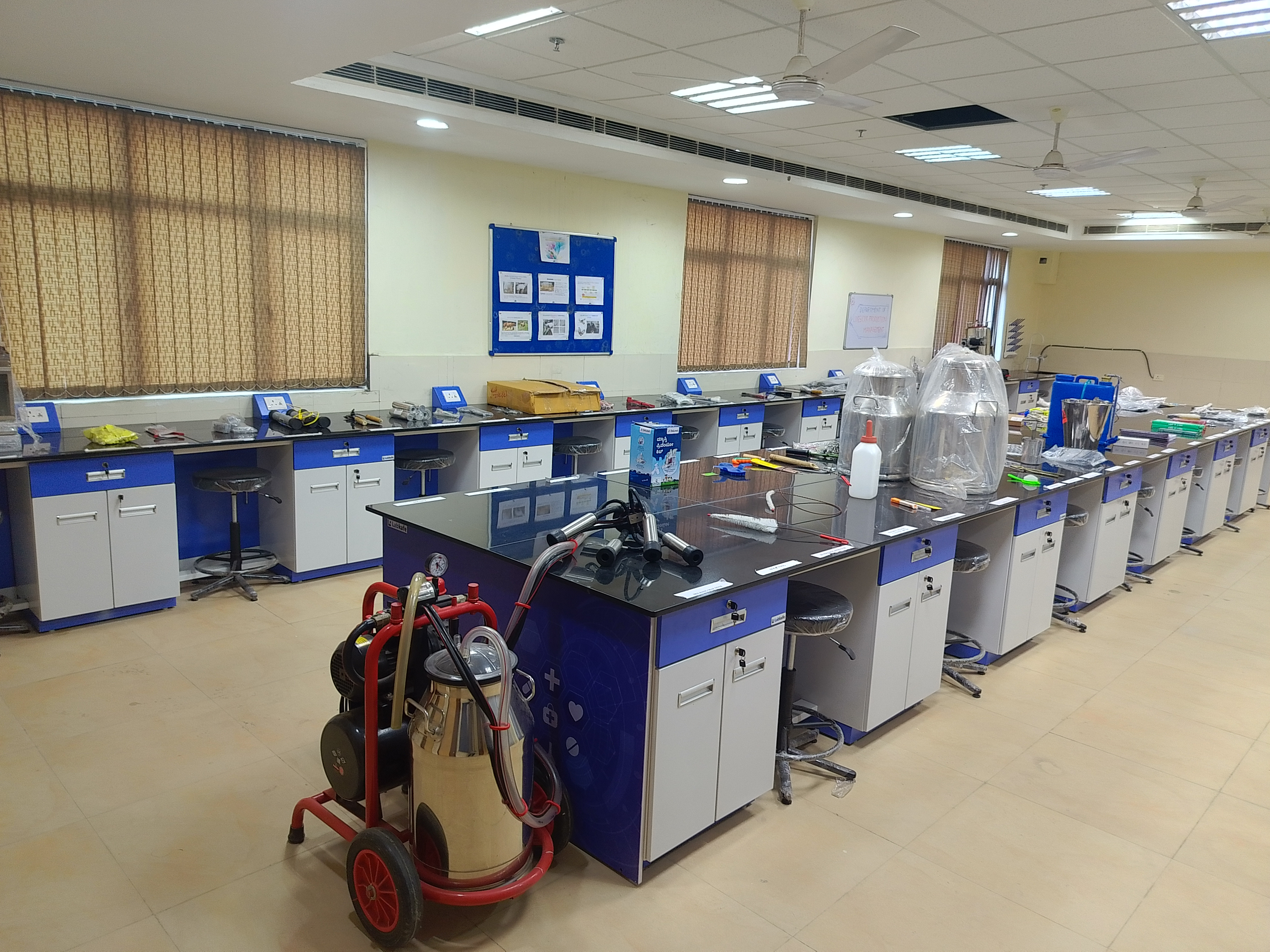 LPM Department Activity 3