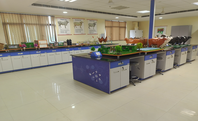 LPM Department Activity 2