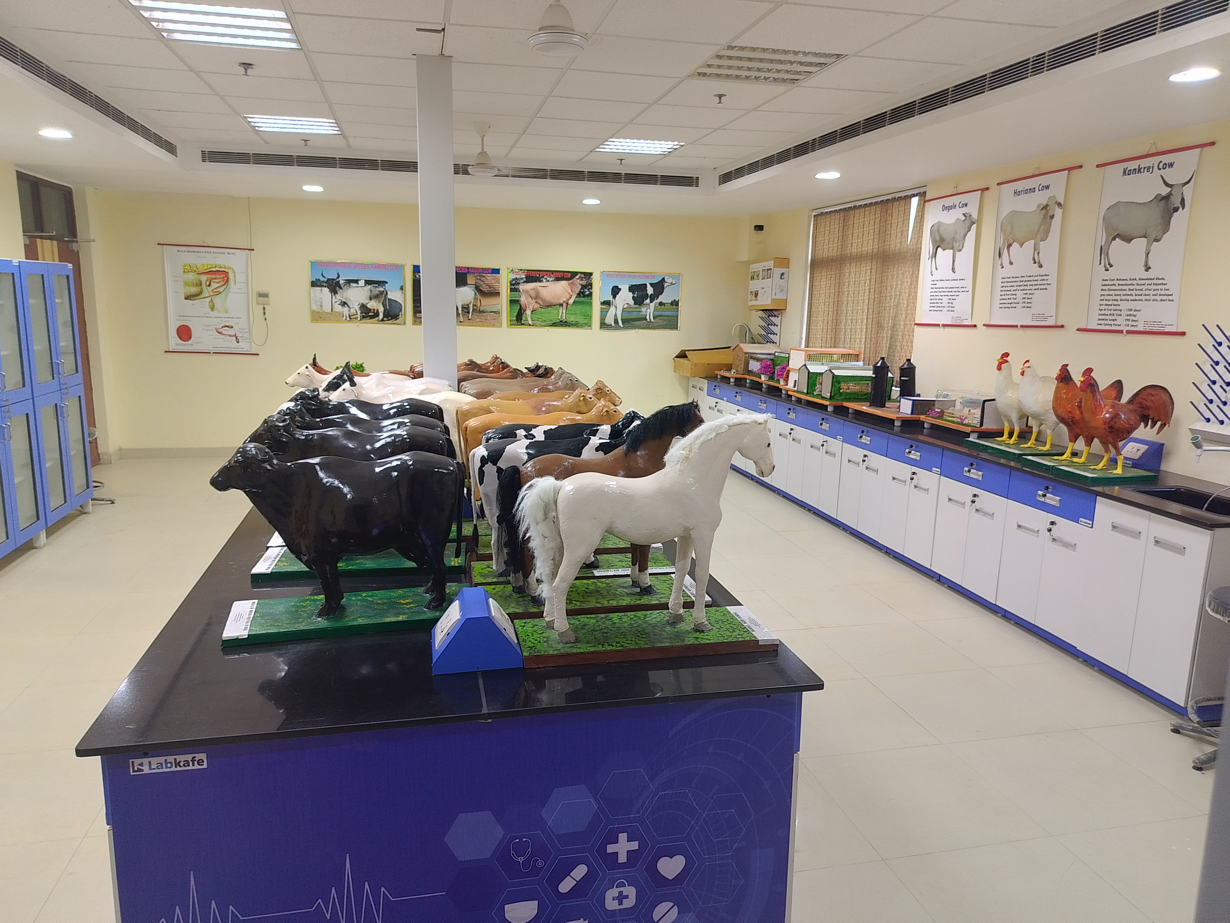 LPM Department Activity 1
