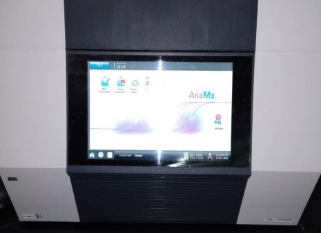 Real Time PCR