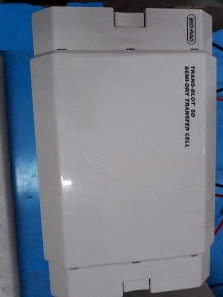 Semi Dry Blot Apparatus